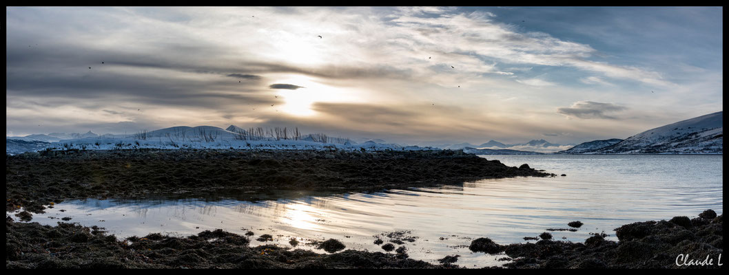 Ile de Ringvassoya