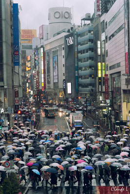 Shibuya sous la pluie