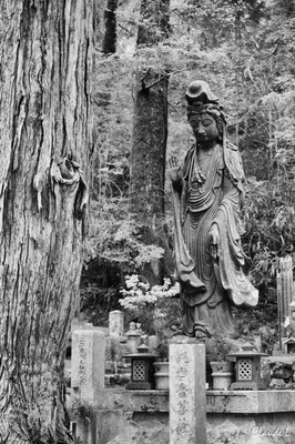  Cimetière de SamouraÏs
