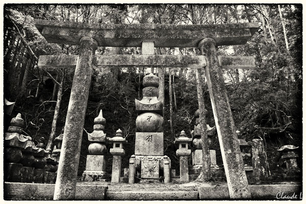  Cimetière de SamouraÏs