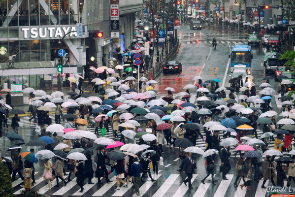 Shibuya sous la pluie