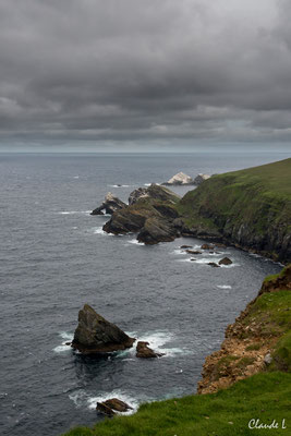 Hermaness,Unst