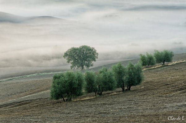  Val d'Orcia,Brumes matinales