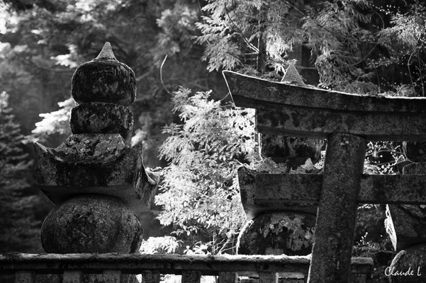  Cimetière de SamouraÏs