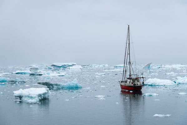 Tiniteqilaq