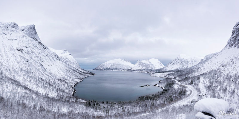 Bergfjord