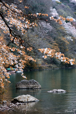 Sagano