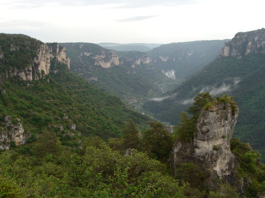 Vallée de la Jonte