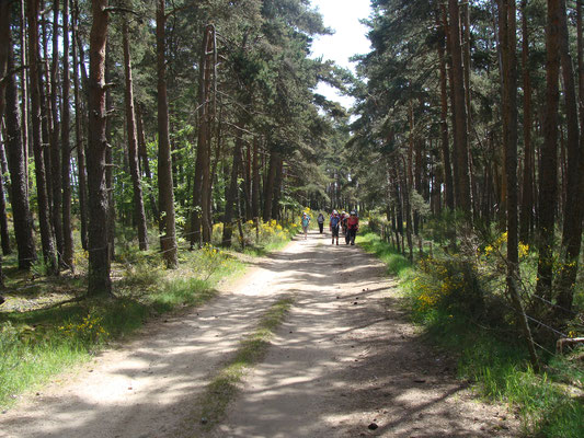 GRP tour des Monts d'Aubrac