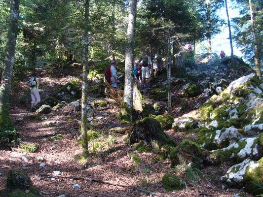Montée au belvédère
