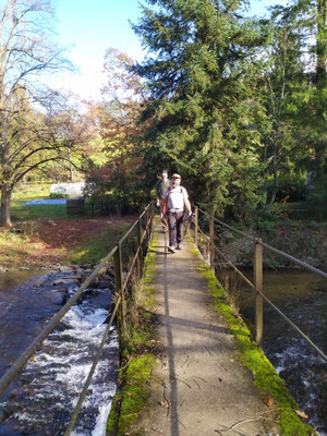 Passerelle sur la Coise