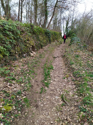 Descente sur St Pierre de Boeuf