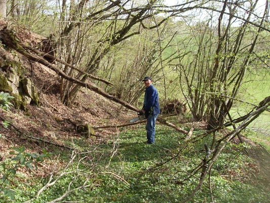 Corvée de débroussaillage
