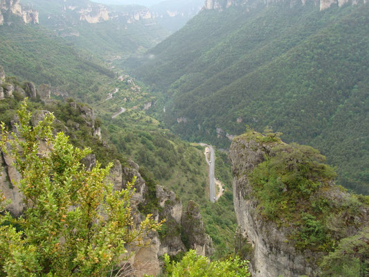 Vallée de la Jonte
