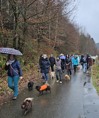 Wir hatten alle unseren Spaß, bei der Wanderung.