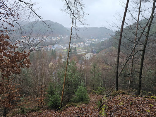 Die wunderschöne Aussicht auf Rodalben.