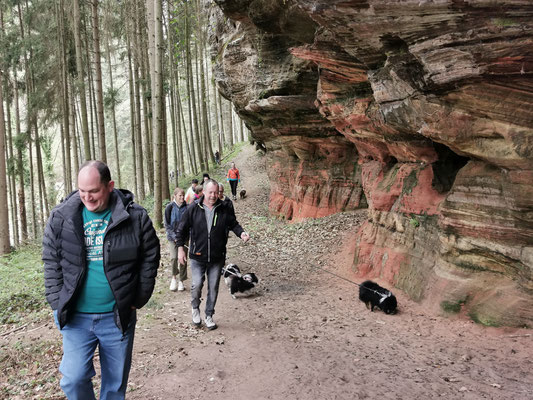 Los geht's in den Rodalber Felsenwanderweg