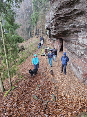 Wanderung auf dem Felsenwanderweg.