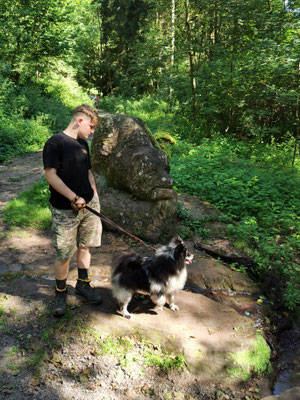Der Bärenfelsen
