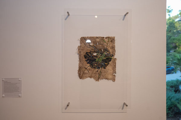 Neighborhood Ecology Installation Image