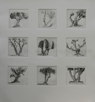 9 Olive Trees, 16x17", Drypoint and Etching, 2012