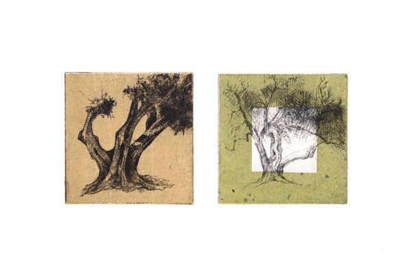Olive Tree Grid, 3X3" each square Drypoint and Etching and Chine Colle 2013