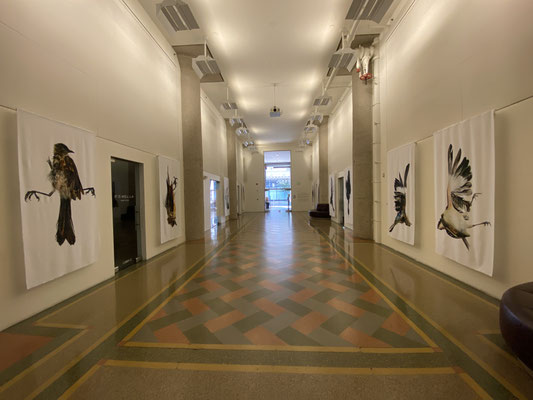 SOS: Silence or Siren Installation View