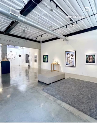 The Craft installation image