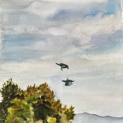 Palm Springs Crows, Watercolor on Paper, 7" x 7" 2021