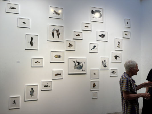 The Craft installation image