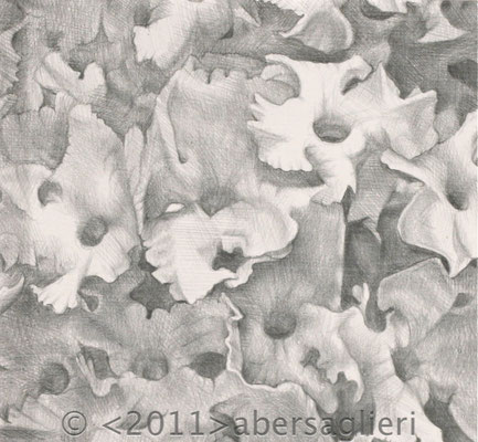 Silver Butterfly Bush, silverpoint on paper, 5"x5" 2011
