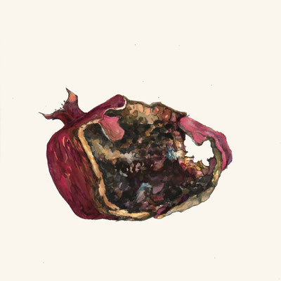 Rat Eaten Pomegranate (untitled)  watercolor on paper, 8" x 8" 2018