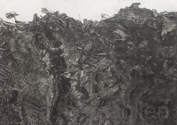 Dirt II, Charcoal on Paper, 20" x 28" 2017 