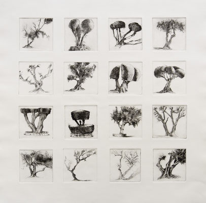 Olive Tree Grid, 3X3" each square Drypoint and Etching 2012