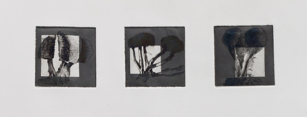 Olive Tree Grid, 3X3" each square Drypoint and Etching and Chine Colle 2013