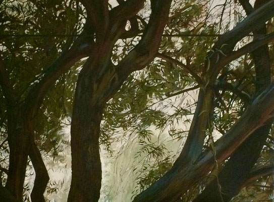 Olive Tree W/Wire, oil on canvas, 36" x 48" 2014