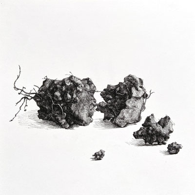 Dirt Clod (untitled) ink on paper, 7" x 7" 2022