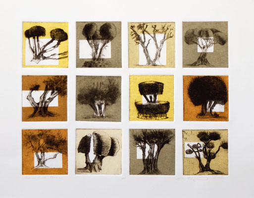 Olive Tree Grid, 3X3" each square Drypoint and Etching and Chine Colle 2013