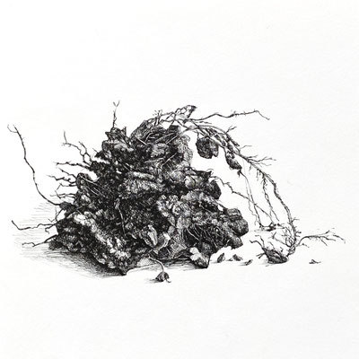 Dirt Clod (untitled) ink on paper, 7" x 7" 2022