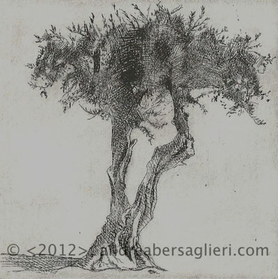 Olive Tree II, 3x3" Drypoint and Etching, 2012