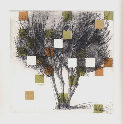 Olive Tree Grid, 6" x 6" Drypoint and Etching and Chine Colle 2013