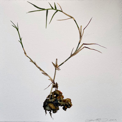 Weed w/Dirt (untitled)  watercolor, 8" x 8" 2018