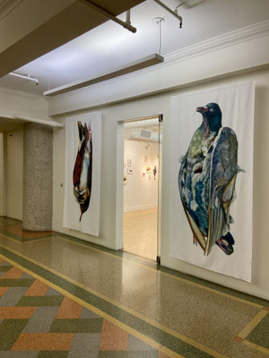 SOS: Silence or Siren Installation View