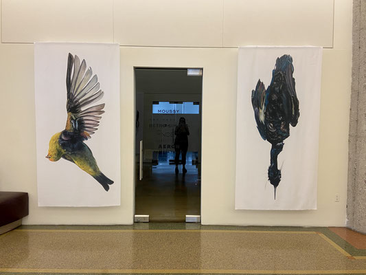 SOS: Silence or Siren Installation View