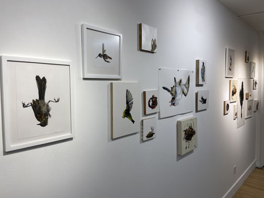 SOS: Silence or Siren Installation View
