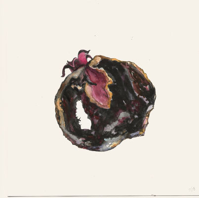 Rat Eaten Pomegranate (untitled)  watercolor on paper, 8" x 8" 2018