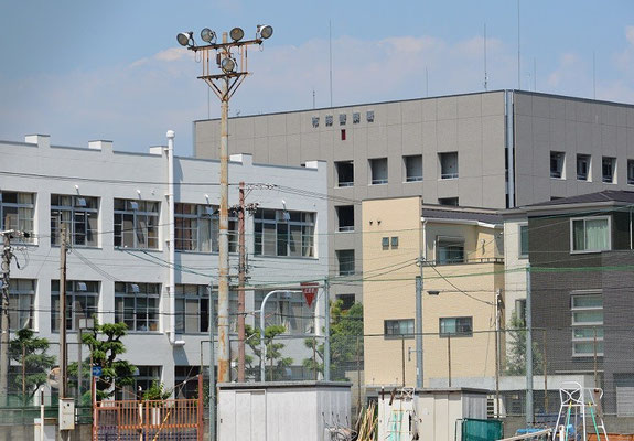 ふりむけば 又咲いている 花三千仏三千 司馬遼太郎 - daitakuji ふりむけば 又咲いている 花三千仏三千 司馬遼太郎 - daitakuji