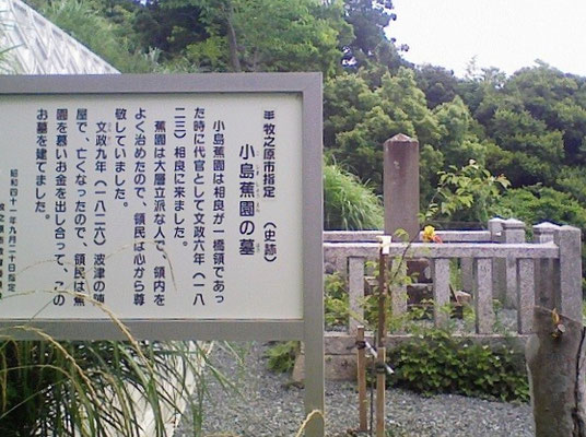 駿河湾を望む不動山中腹