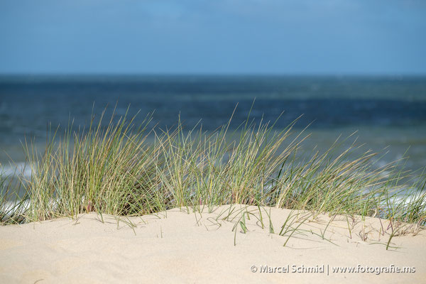 Sylt, Deutschland