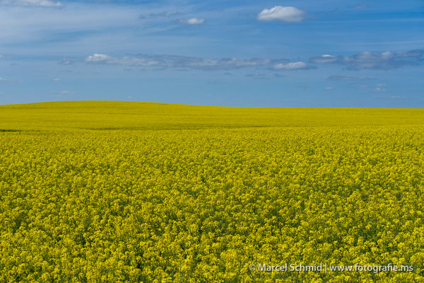Mecklenburg, Deutschland